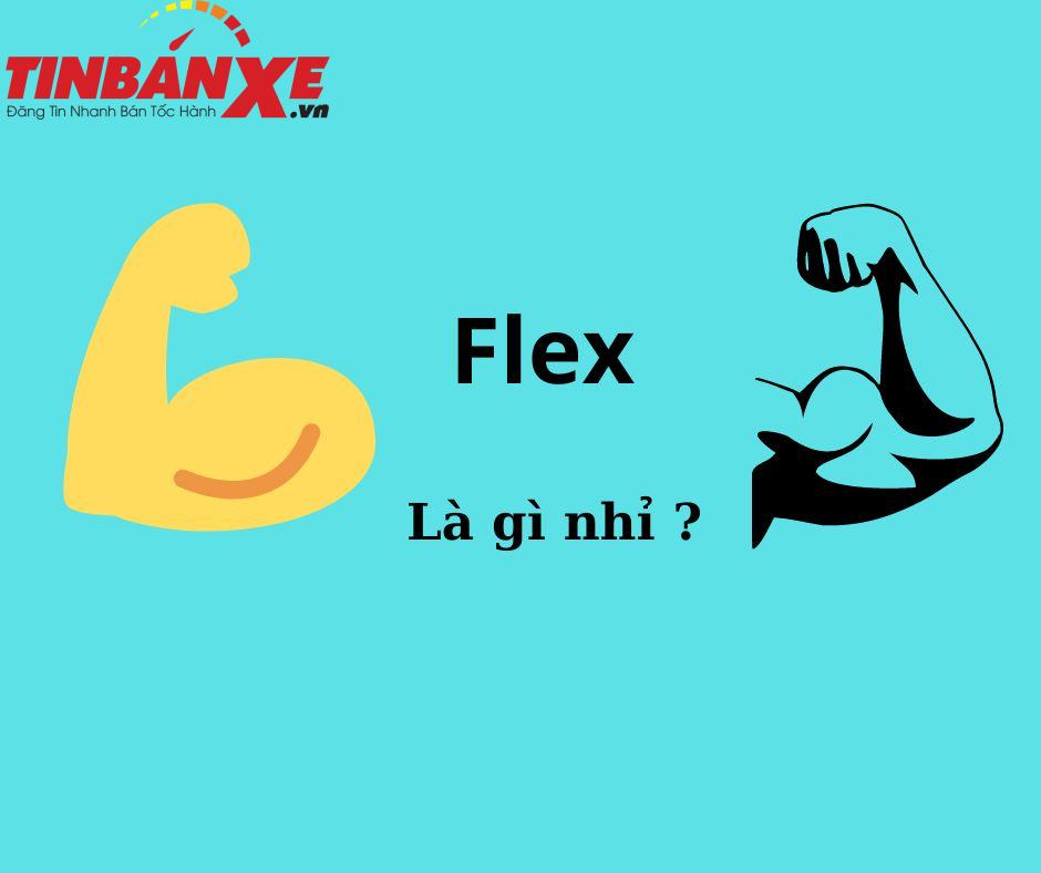 Trend Flex là gì?